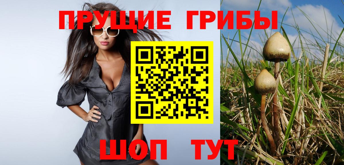Псилоцибиновые грибы GOLDEN TEACHER  Вход с VPN  Заволжье 