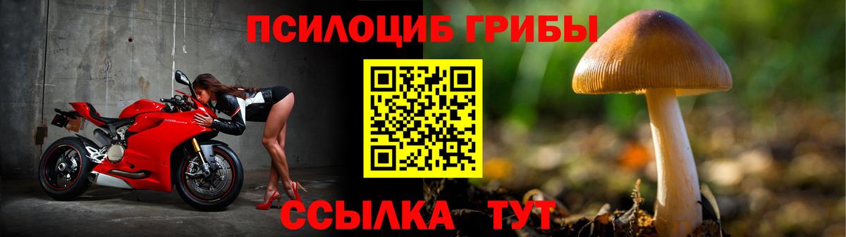 Галлюциногенные грибы мухоморы Заволжье